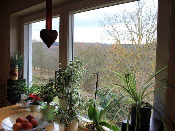 內開內倒鋁包木門窗